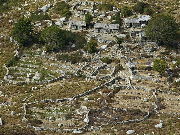 Bergeries d'Asinao