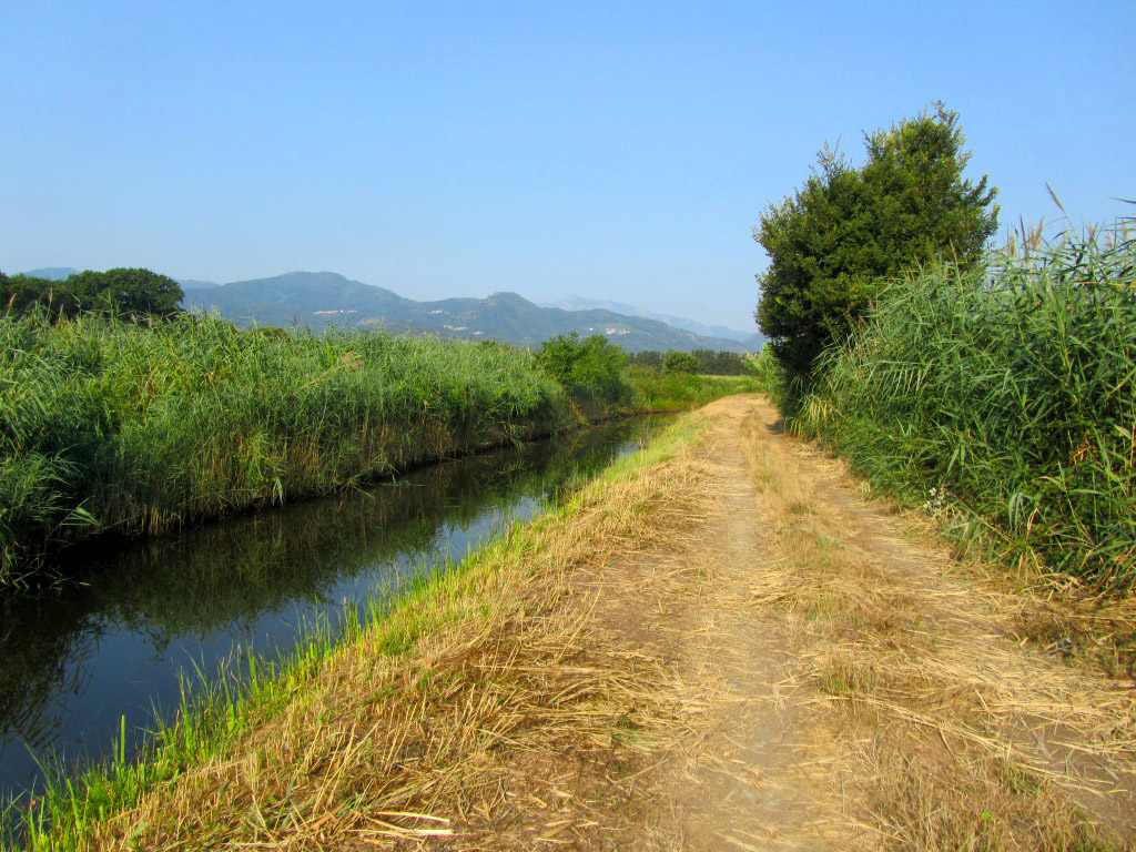 Les canaux d'irrigation de Casinca