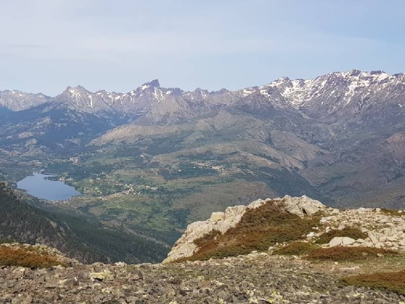 Monte Pinerole - Niolu