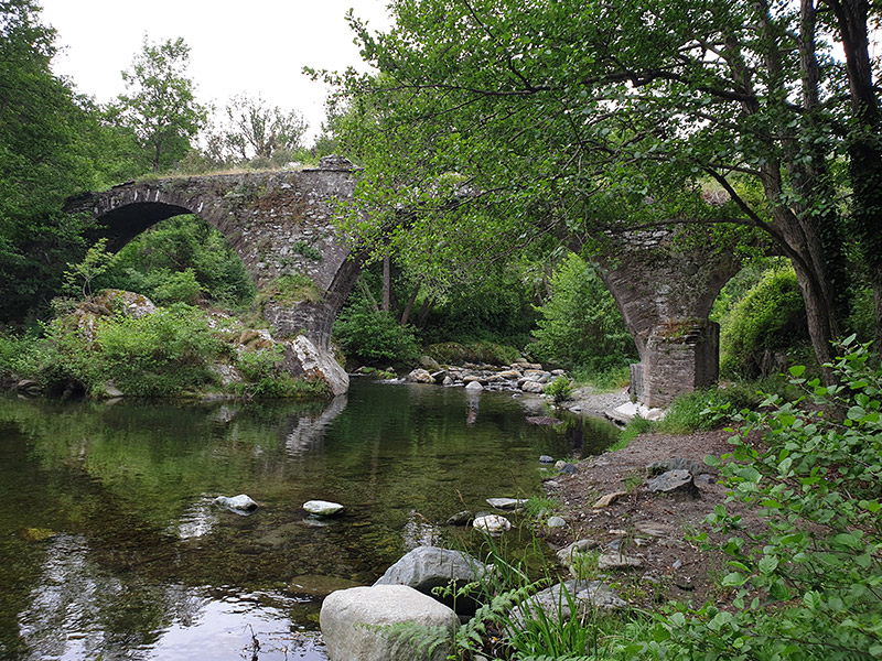 Pont génois dit ponte a Torreno