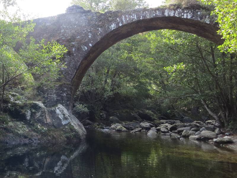 Pont génois dit ponte a Torreno