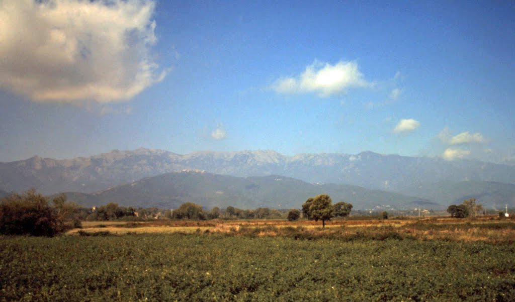 Les canaux d'irrigation de Casinca