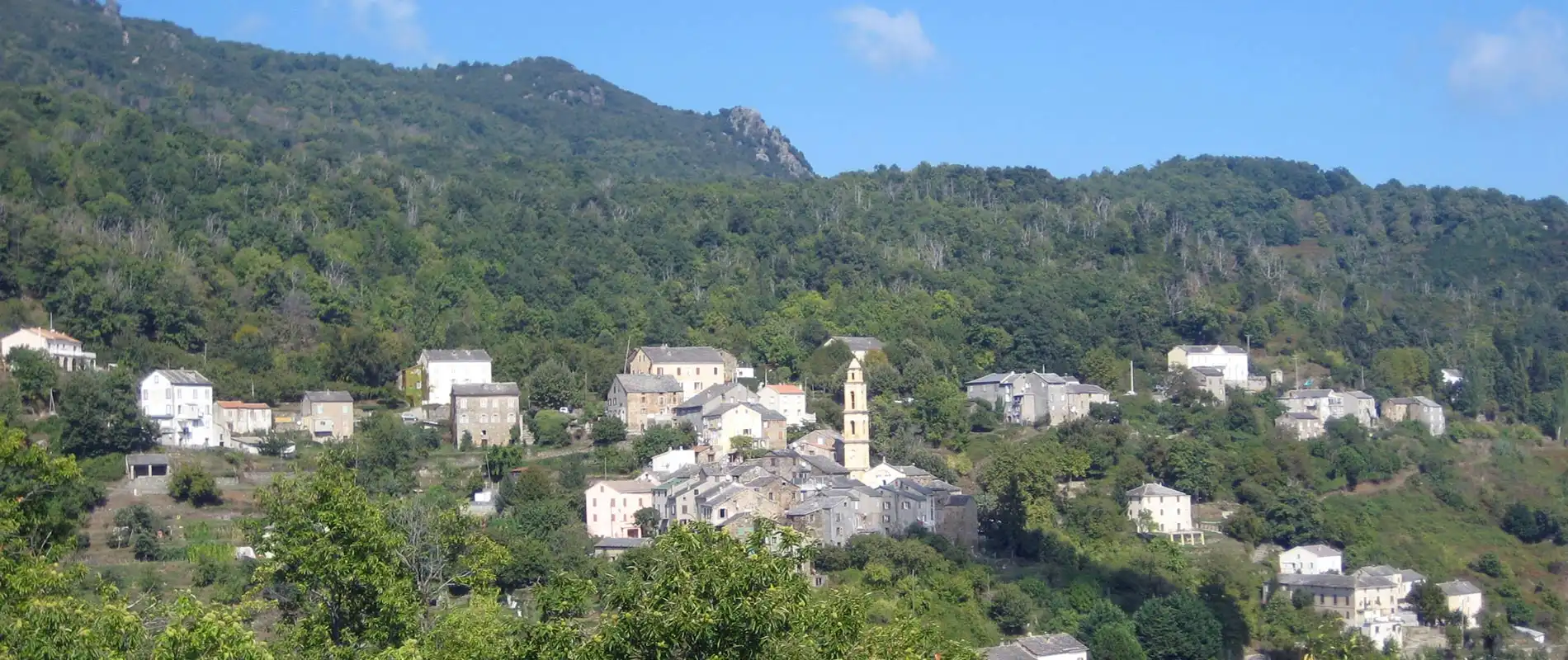 Monte Sant'Angelo par Silvareccio