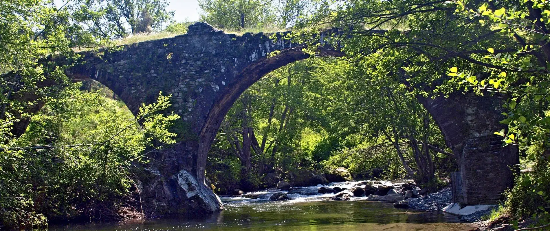 Pont génois dit ponte a Torreno