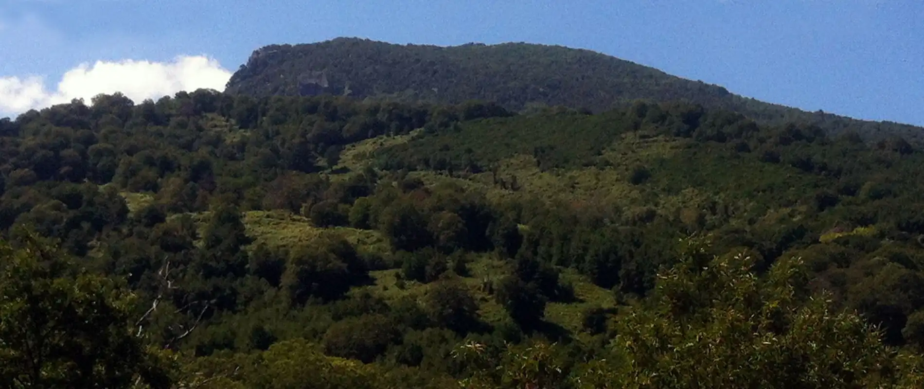 Monte Sant'Angelu