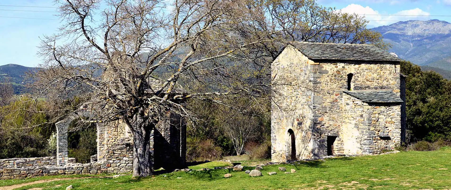 Domaine Saint-Jean à Corté