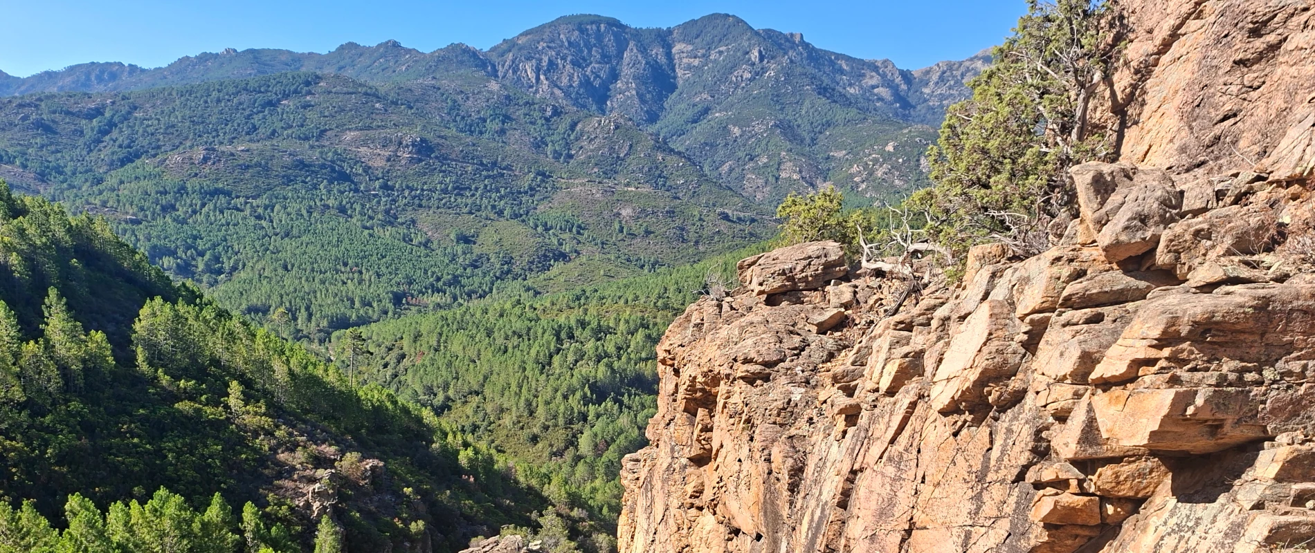 Arche de Genepariccia